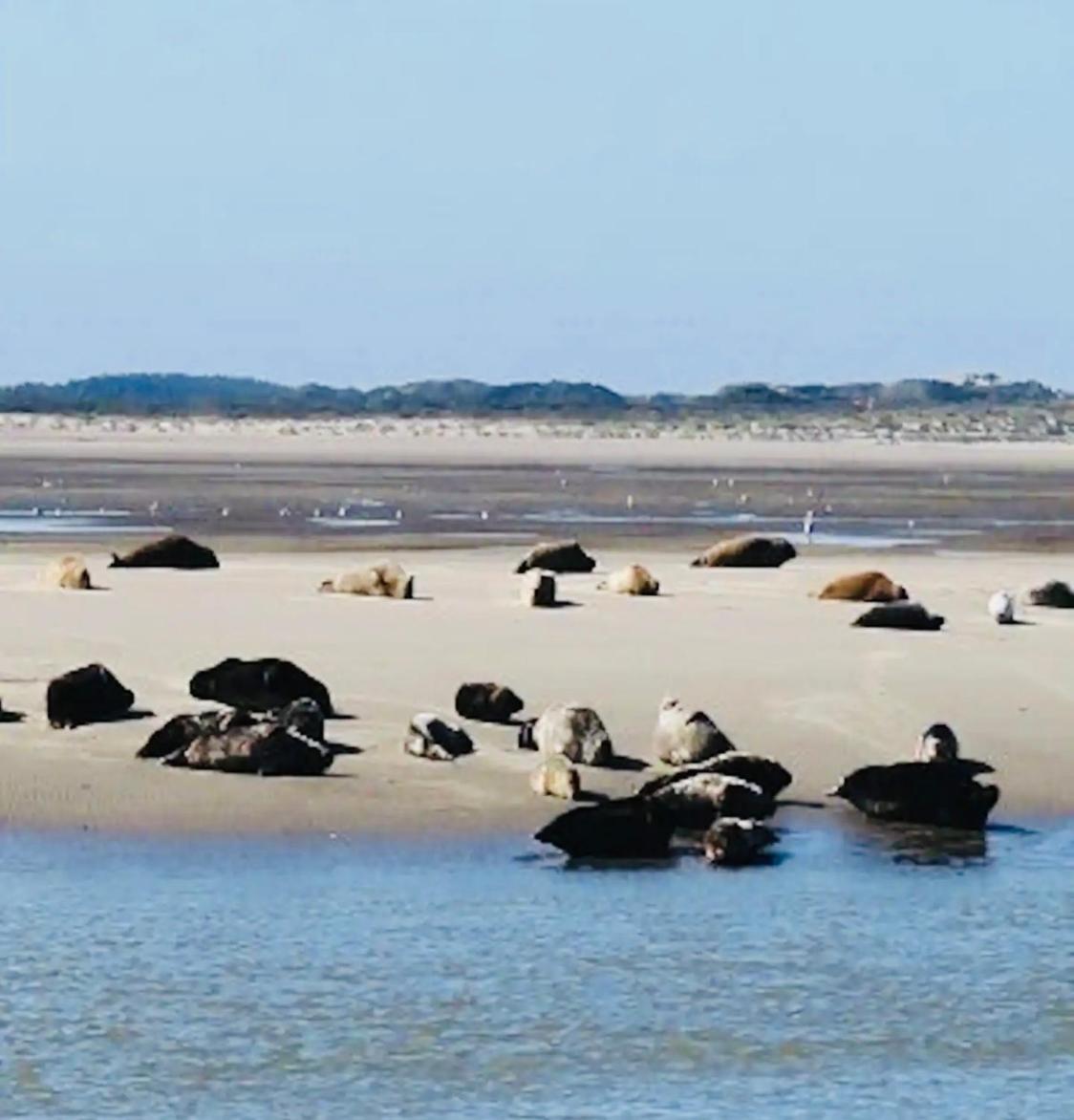 Le Chant De La Riviere Abbeville Esterno foto