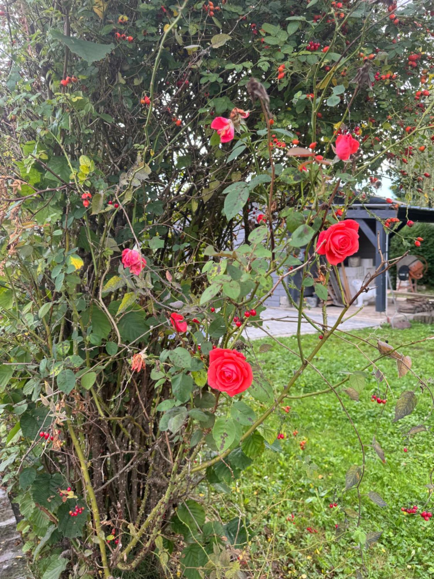 Le Chant De La Riviere Abbeville Esterno foto